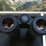 Prismáticos Swarovski Optik NL Pure 10×42.