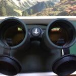 Prismáticos Swarovski Optik NL Pure 10×42.